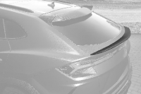 Smaller Spoiler
