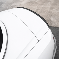 Smaller Rear Wing