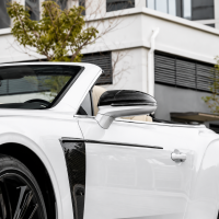 Backside Mirror Cap