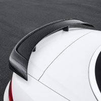 Large Rear Wing