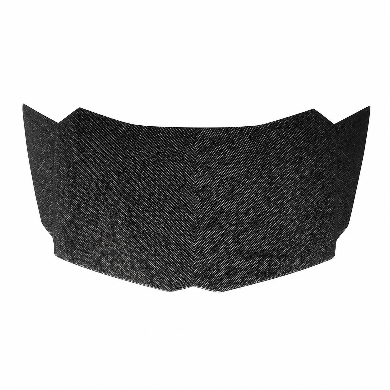OEM Dry Carbon Fiber Engine Hood