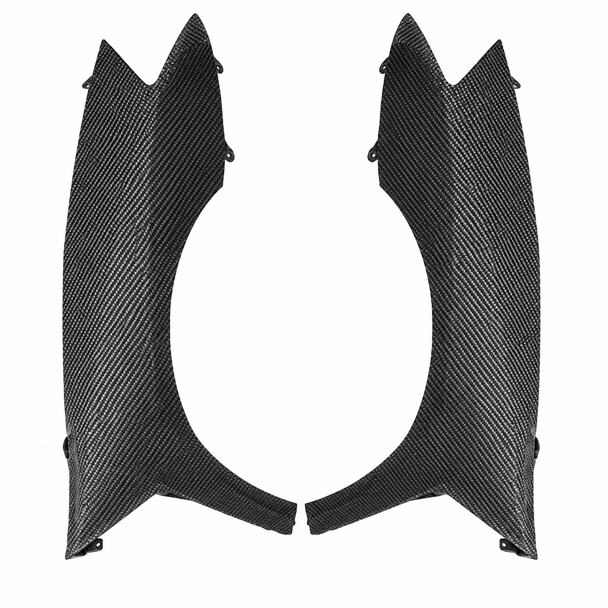 OEM Dry carbon fiber Fender